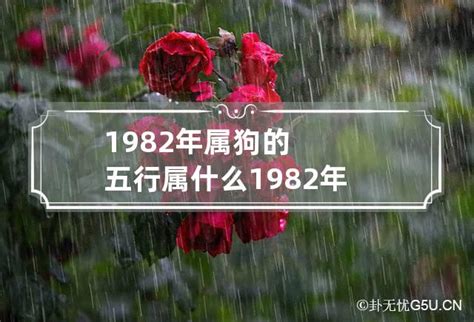 1982 屬|1982年属什么 1982年属什么五行